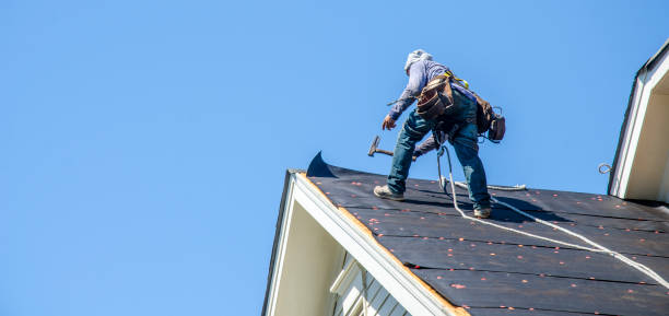 Roof Gutter Cleaning in Gulf Park Estates, MS